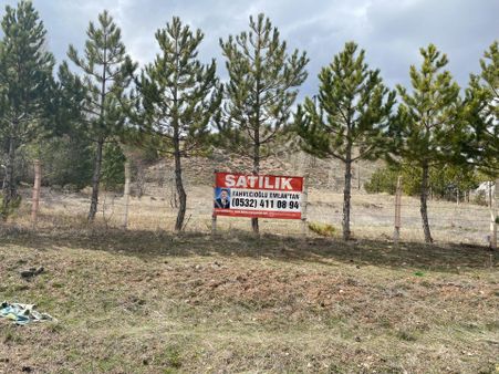 Sivas Merkez Çayboyu Mah Satılık Tarla