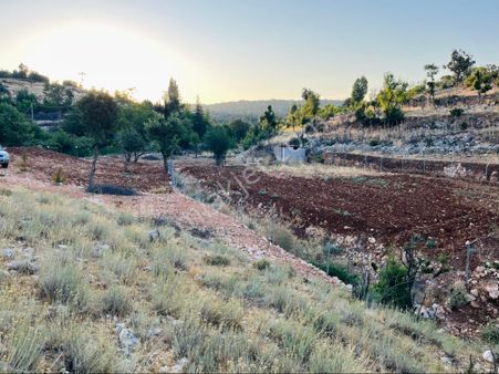 Türe Gayrimenkulden Silifke Çaltıbozkır Sinada 903 M2 Satılık Arsa