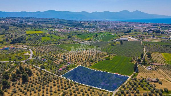 Kuşadası'nda Satılık İmarlı Arsa