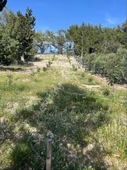 Türe Gayrimenkulden Silifke Çamlıbelde Satılık Hobi Bahçesi