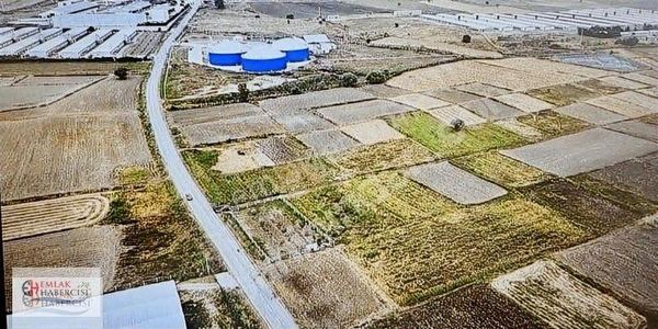 İşletmelere Sınır 18 Dönüm Kadast. Yola Cephe Fırsat Arazi