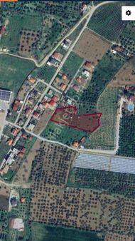 Aydın İncirliova Satılık Zeytinlik