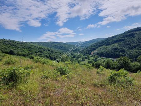 Bağırganlı'da Vadi Manzaralı Orman Kenarı 10 Dönüm Tarla