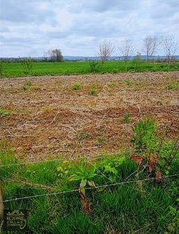 Sakarya Serdivan Kuruçeşme Mah. İmar Sınırında Yatırımlık Tarla
