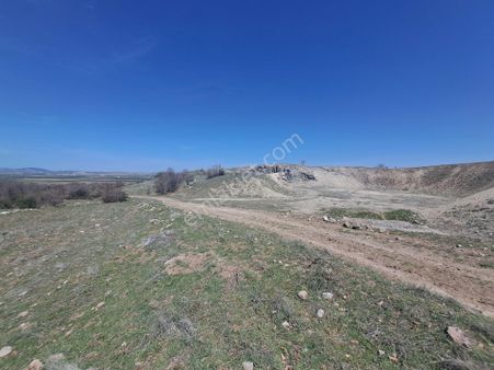 Konya Seydişehir Gevrekli De Tek Tapu Tarla Detaylı Bilgi İçin Lütfen Arayın