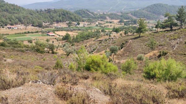 Muğla Yatağan Bencik'de Özel Konumlu Çiftlik Arazisi