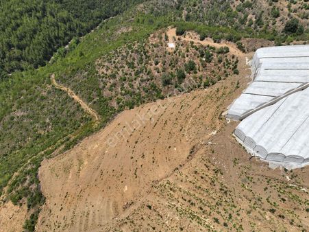 Alanya Çamlıca Mahallesinde Verimli Bir Tarla Sizi Bekliyor. Tam 13200 Metrekare