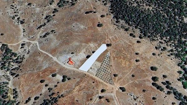 Özvadi Yaylasında 1.911 M2 Satılık.