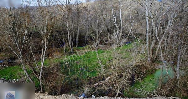 Karamürsel Satılık Tarla Avcıköy Dere Kenarı