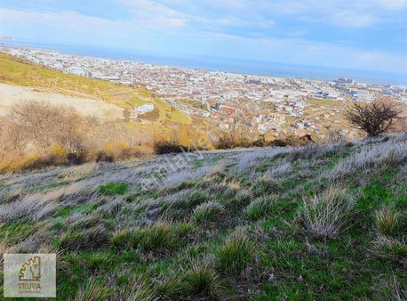 Truva//nazım Demirci'den Tekkeköy 4275m2 Tek Tapu Satılık Arsa