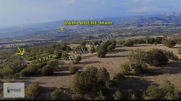 Telefon Fiyatına 1107 M2 Tarla Tek Tapu