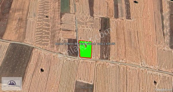 Burdur Tefenni Beyköy'de Satılık Tarla