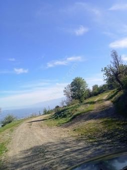 Kuyucak İğdecik'te Tarla