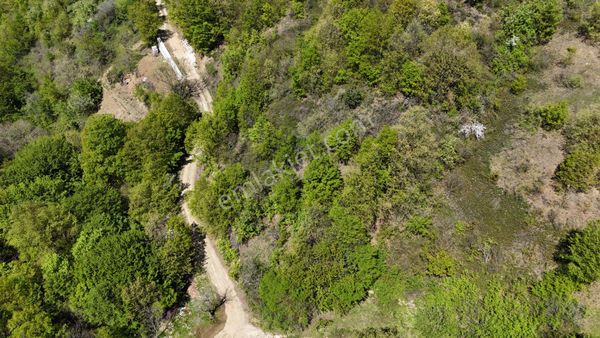 Nilüfer Üçpınar 1475 M² Köy İçi Satılık Tarla