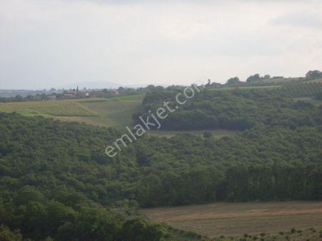 Kuukhataplı Satılık Tarla