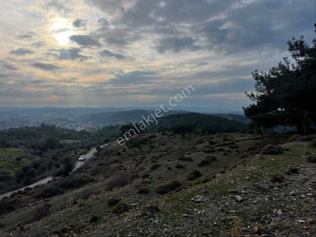 Buca 29 Ekim Mahallesi Kaynakların Dibi Manzaralı Geleceği Parlak Harika Yerimiz Satılıktır.