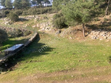 Doğa, Huzur Ve Yatırım Bir Arada: Muğla Yatağan'da 457 M² Tarla
