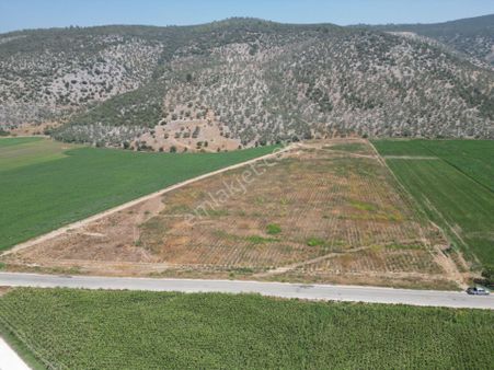 Milas İçme'de Satılık Tarla