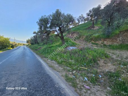 Göçmen Gayrimenkul'den Arslanlı Mah.satılık Bahçe
