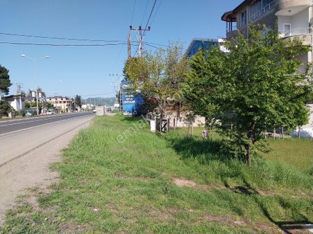 Fstsa Ordu Sahil Yolu Üzerinde Asfalta Sıfır Yatırımlık Arsa