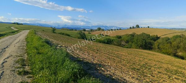 Asfalt Kenari Tek Tapu Tarla