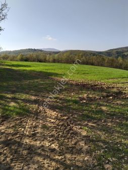 10600 M2 Satılık Tarla