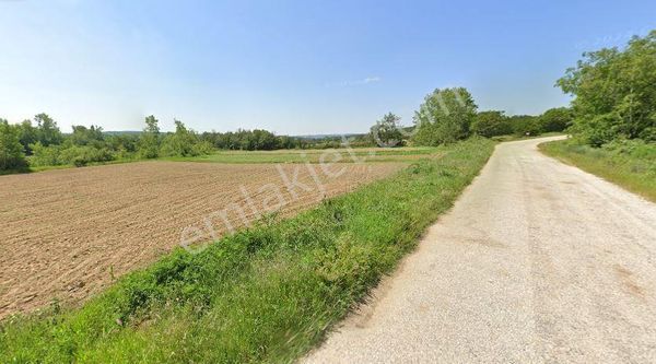 Kırklareli Pınarhisar Yenice De Satılık Yatırmlık Tarla