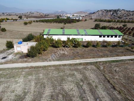 Bucak Gündoğdu Satılık Çiftlik Ahır Bakıcı Evi