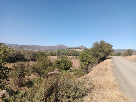 Acıpayam Kurtlar Mahallesinde Satılık Arsalar