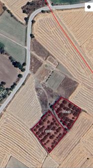 Satılık Ceviz Bahçesi Darıveren Mah.