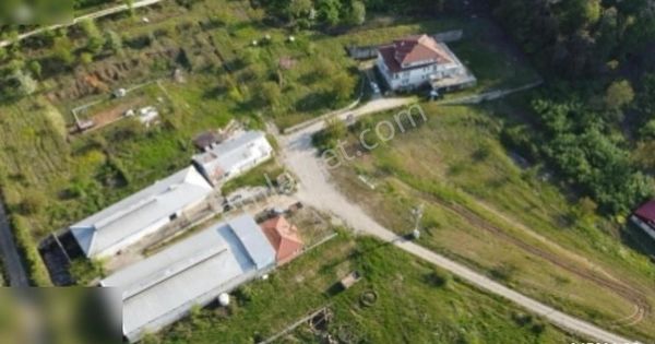 Sakarya Karapürçek'te Tarıma Veya Hayvancılığa Uygun Çiftlik