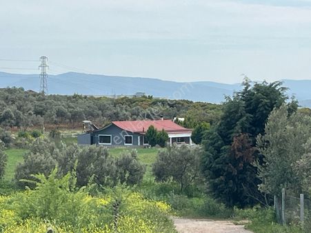 Menderes Bulgurca Mahallesinde 7540m2 Müstakil Parsel Satılık Zeytin Tarlası