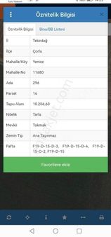Çorlu Yenice Köyü Hisseli 5000m2.tarla Satlıktır