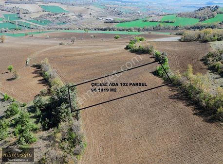 Bursa Yenişehir Celebide Satılık Tarla