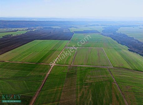 Banarlıda Satılık Tarla Toplulaştırma Alanında Hazır