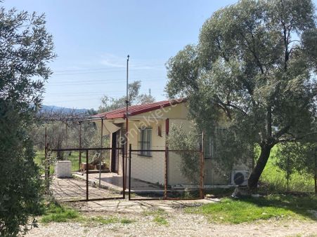 Ege'nin Kalbinde, Denize Yakın, Yaşama Hazır 17.350 M2 Tarla!