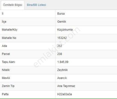 Gemlik Küçükkumla Asarcık'da Satılık Fırsat Zeytinlik