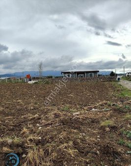 Menderes Tekeli'de Satılık 3800 M² Tarla