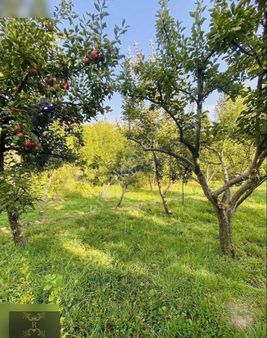 Royal Gayrimenkul'den Yeşilburç'ta Satılık 438 M2 Hobi Bahçesi