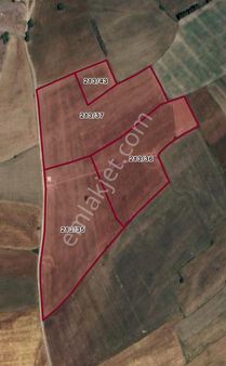 Vitrinden Seydim Yunus Emre De 62.938 M2 4 Tapu Satılık Tarla