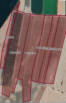 • Levent Emlak • Karaçay'da Satılık Tarla