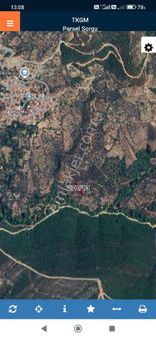 Bayındır Sarıyurt Köyünde Yolu Olan 433 M² Zeytinlik Satılıktır