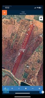 Körkünde Tek Tapu Fıstık Tarlası Ana Yol Cepheli