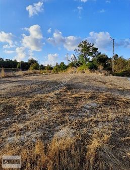 Çatalca Örencik Dışbudak Mevkiinde 6500 M2 Tarla