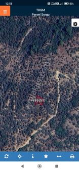 Bayındır Sarıyurt Köyünde 266 M² Zeytinlik Satılıktır