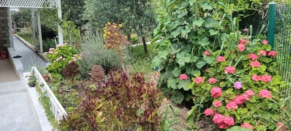 Didim Mavişehir'de Satılık Geniş Bahçeli 5+1 Villa