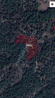 Bergama Göbeller Mah Satılık Fıstıklık