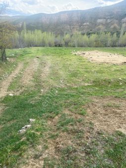 Köy İçerisinde Ev Yapımına Uygun Tarla(açıklamayı Okuyunuz)