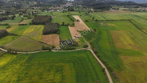 Muğla Ula Esentepe ‘de 7.991 M2 Yolu, Elektiriği Olan Tarla