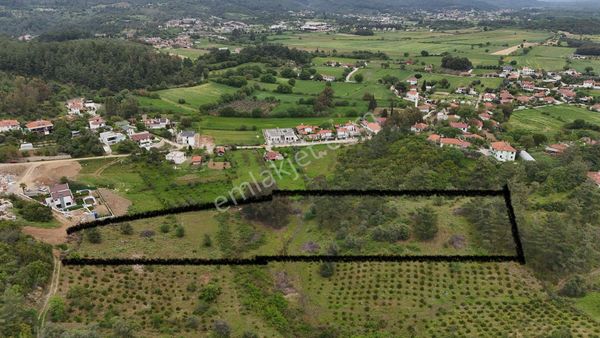Muğla Ula Esentepe ‘de Satılık 13.472 M2 Arsa